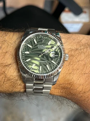 CADISEN C8198 Dress Watch 40MM Palm Leaf  AR Sapphire  MIYOTA 8215 Automatic photo review