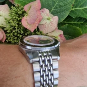 San Martin SN0116G Dive Watch 39.5mm NH35 Automatic AR Sapphire C3 Lume 120 clicks 20Bar photo review